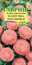 Астра Пампушка персиковая помпонная 0,3 гр Гавриш