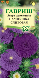 Астра Пампушка сливовая однолетняя помпонная 0,3гр Гавриш