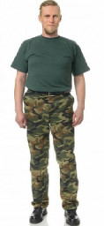 Брюки летние Захват КМФ нато Прабо