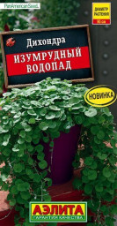 Дихондра Изумрудный водопад 3др Аэлита