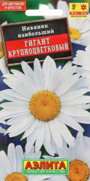 Нивяник Гигант крупноцветковый 0,5гр Аэлита