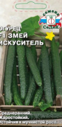 Огурец Змей искуситель СеДеК