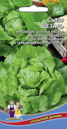 Салат Цезарь 0,25гр УД