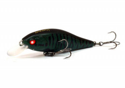 Воблер плавающий LJ Pro Series ANIRA F 06.90/304