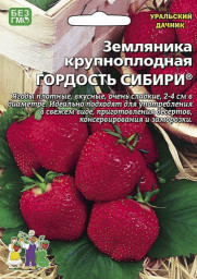 Земляника Гордость сибири - крупноплодная 10шт УД